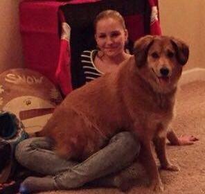 cão-castanho-sentado-no-colo-de-senhora Cão castanho senta-se no colo de uma senhora no chão.