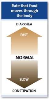 Velocidade a que os alimentos se movem através do corpo Velocidade a que os alimentos se movem através do corpo