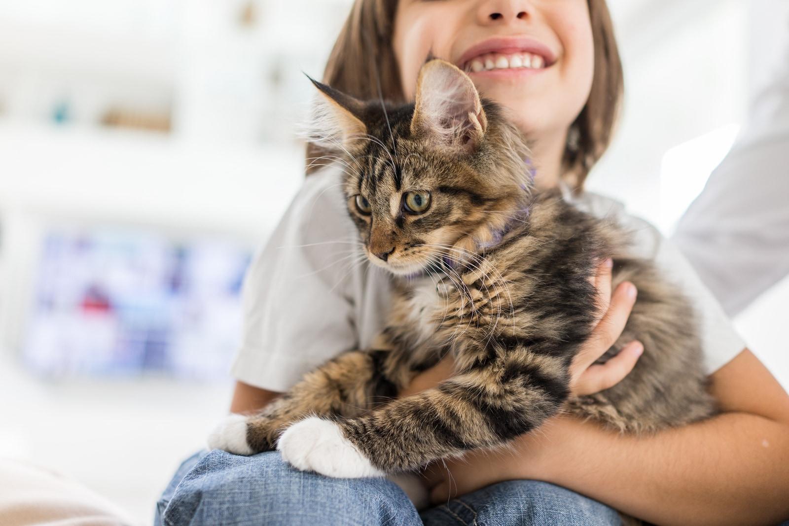 Menina feliz a brincar com gato às riscas em casa