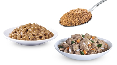 pet wet foods example