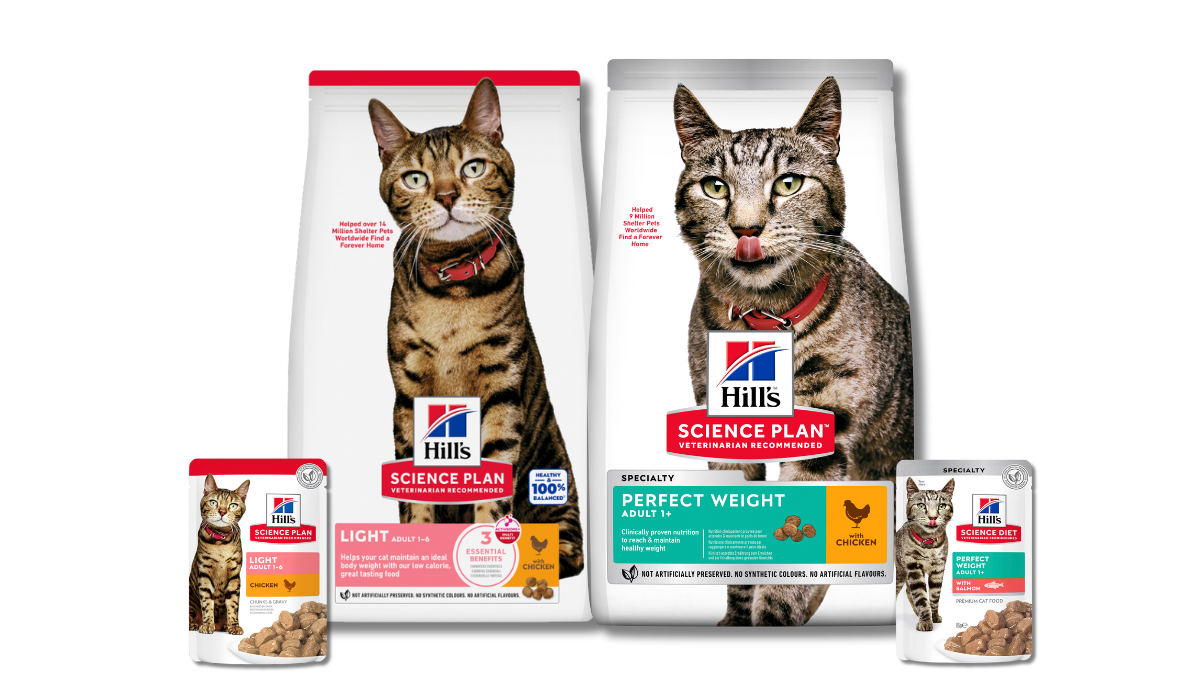 Alimento para gato Science Plan Light e Perfect Weight