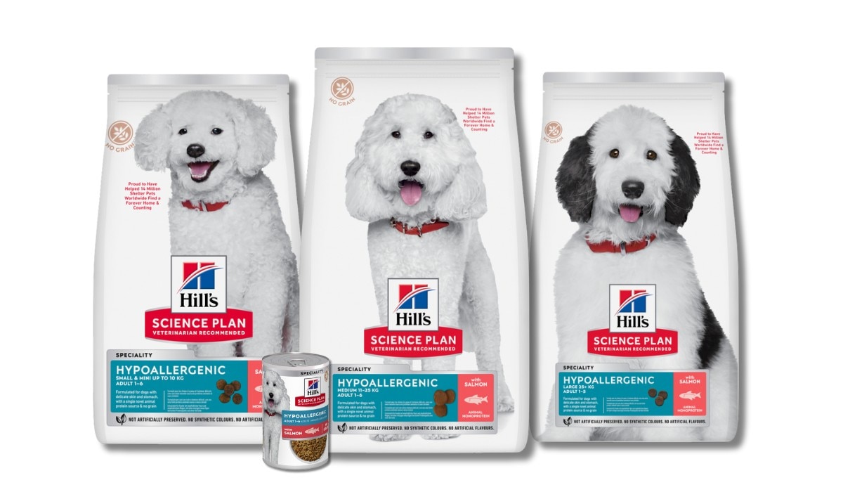 Alimentos para cães sem milho, trigo ou soja