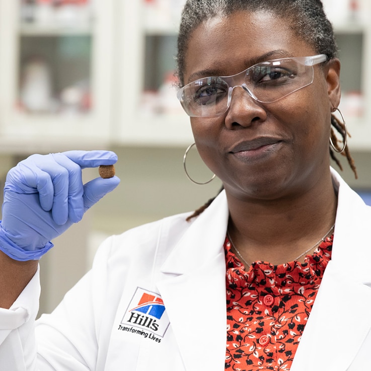 investigador a agarrar um croquete