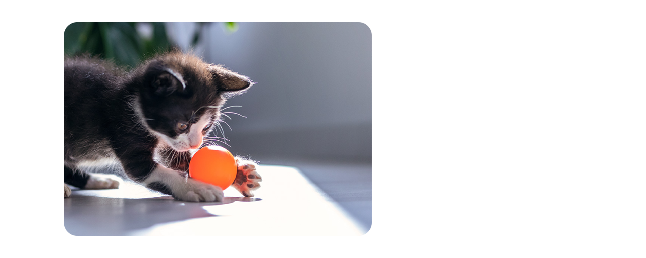 A black kitten playing with an orange ball