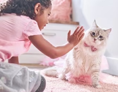 menina a brincar com um gatinho
