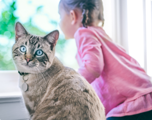 A small girl sitting next to an overweight cat