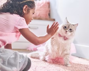 menina a brincar com um gatinho