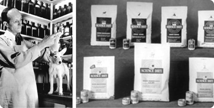 Dr. Mark Morris Jr. a trabalhar com um animal de companhia