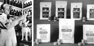 Dr. Mark Morris Jr. a trabalhar com um animal de companhia