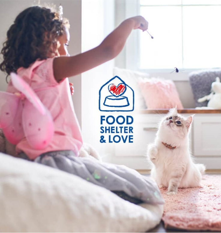 Menina a brincar com o seu gato]