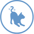tail icon