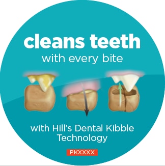 TECNOLOGIA DENTAL DOS CROQUETES